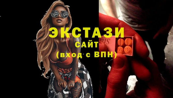 гашик Верея