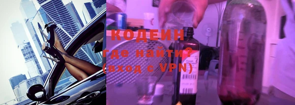 гашик Верея