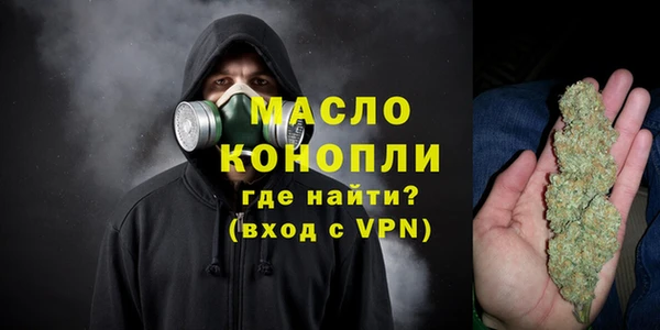 гашик Верея