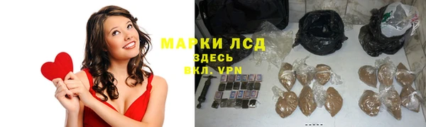 гашик Верея