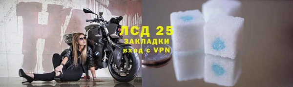гашик Верея