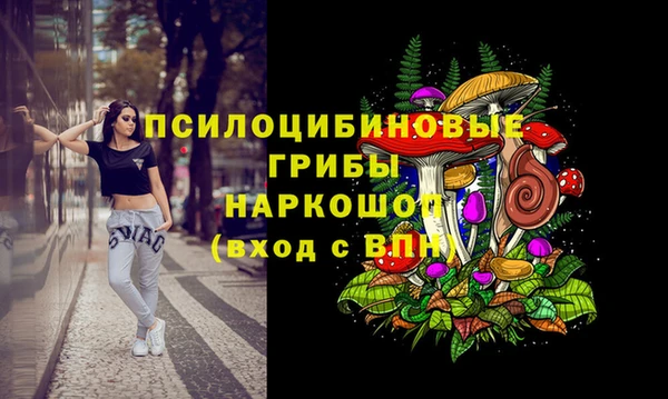 гашик Верея