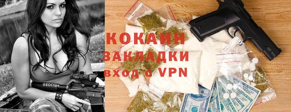 гашик Верея