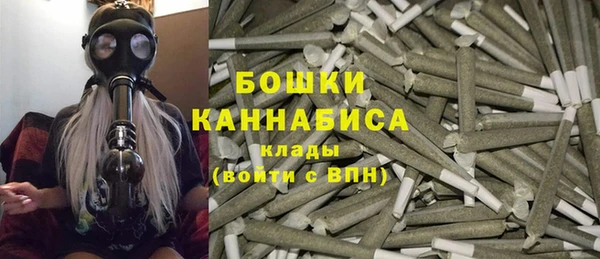 гашик Верея