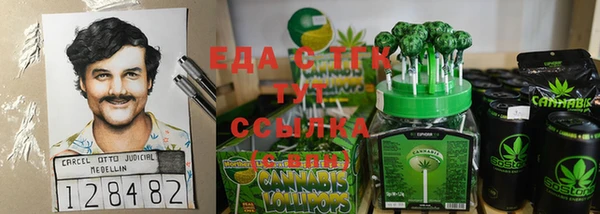 гашик Верея