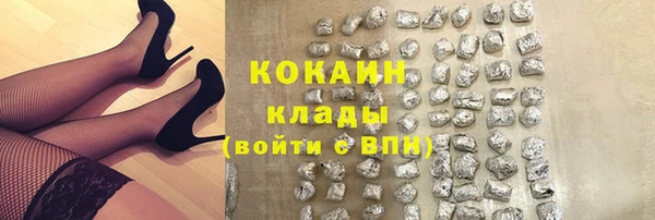 гашик Верея