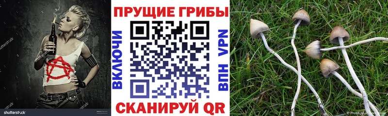 дарк нет какой сайт  Нерехта  Псилоцибиновые грибы ЛСД 